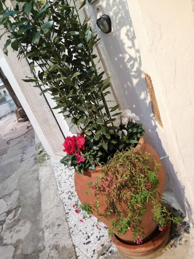 Relax Santa Cecilia Apartment Gravina in Puglia Exterior photo